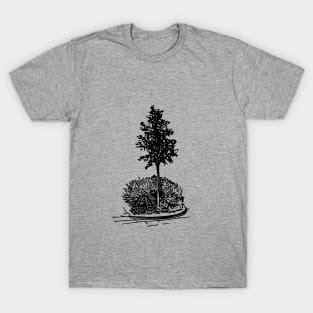 Tree and flowerbed. City landscape on your things. T-Shirt